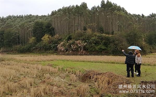 嘉兴市陈老师带着爱徒寻龙点穴